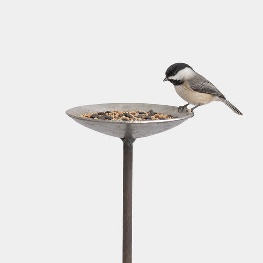 English Metal Bird Feeding Platform