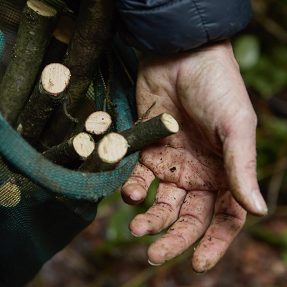 Foraged European Ash Wood Wall Hook (single)