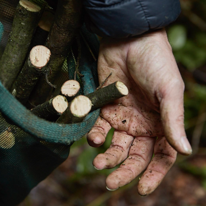 Foraged European Ash Wood Utility Brush