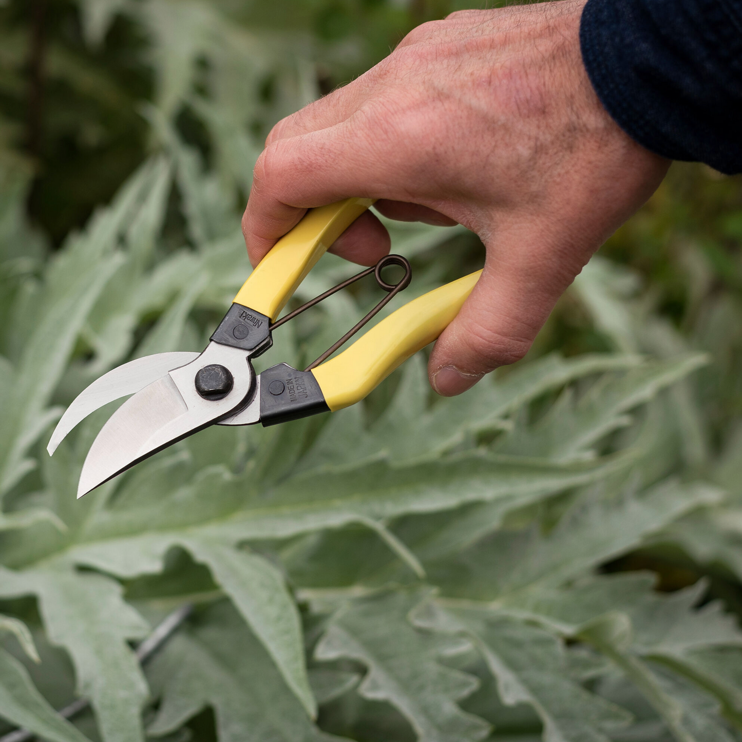 Niwaki Mainichi Secateurs Japanese Pruners