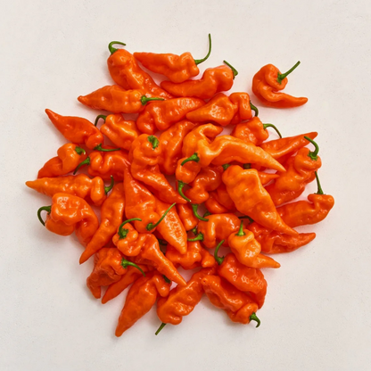 Row 7 Essential Summer Salad Mix