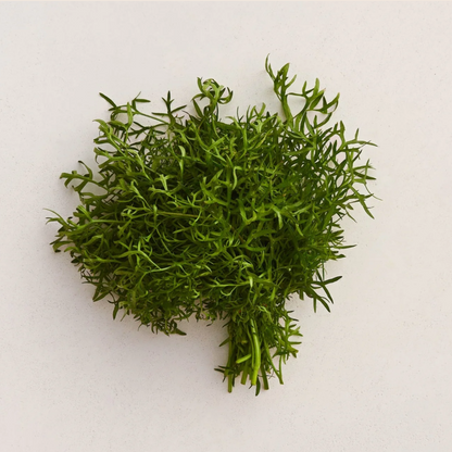 Row 7 Organic Green Mix