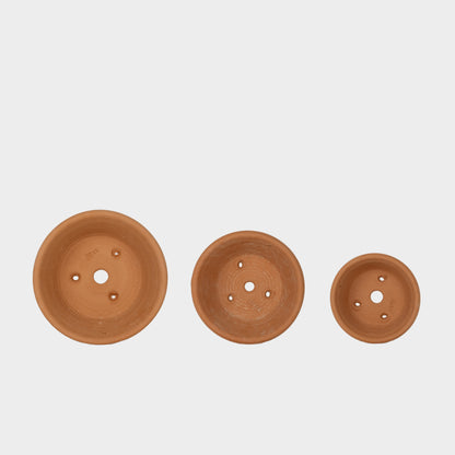 English Terracotta Classic Seedpan