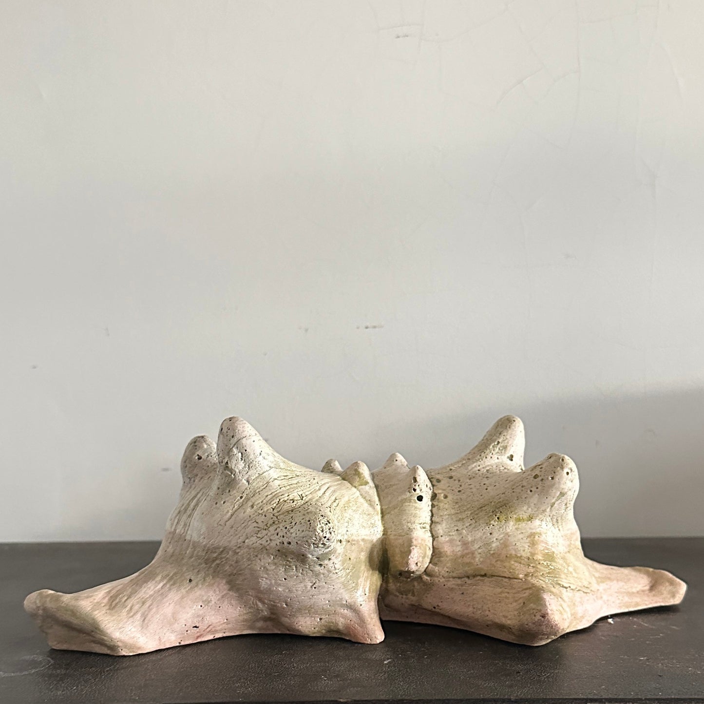 Siamese Shell Sculpture Series