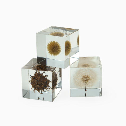Japanese Botanical Paperweights