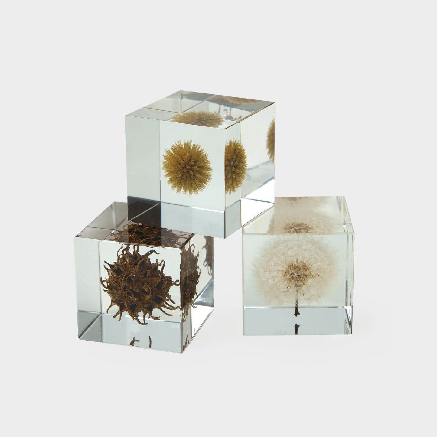 Japanese Botanical Paperweights