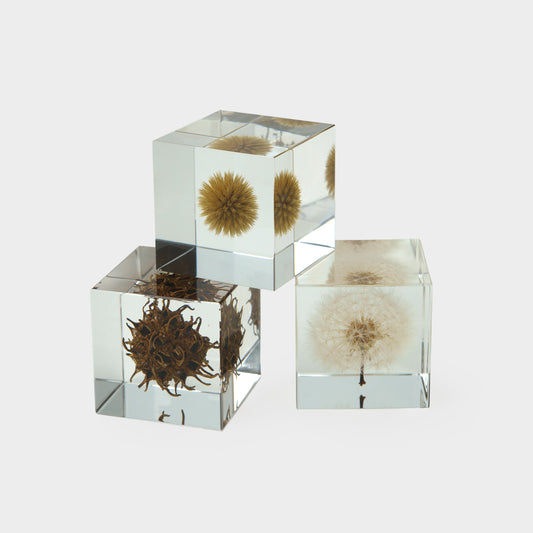Japanese Botanical Paperweights
