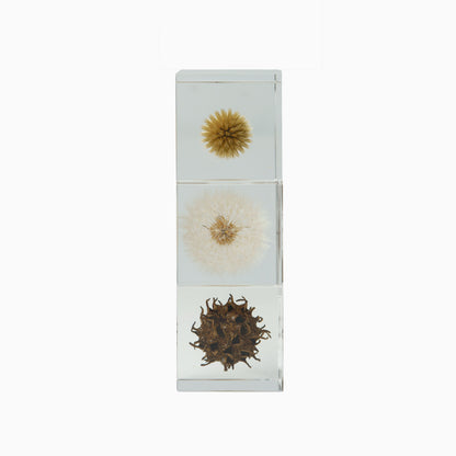 Japanese Botanical Paperweights