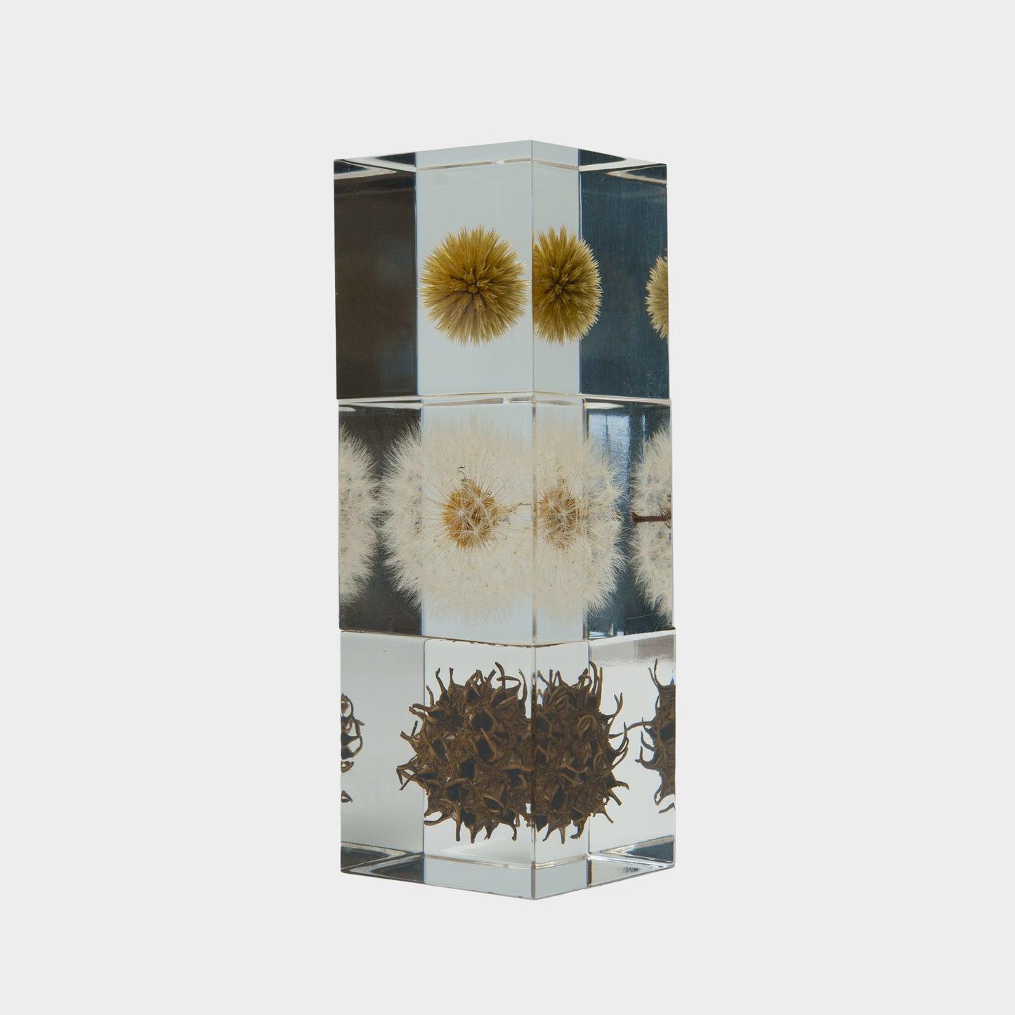 Japanese Botanical Paperweights