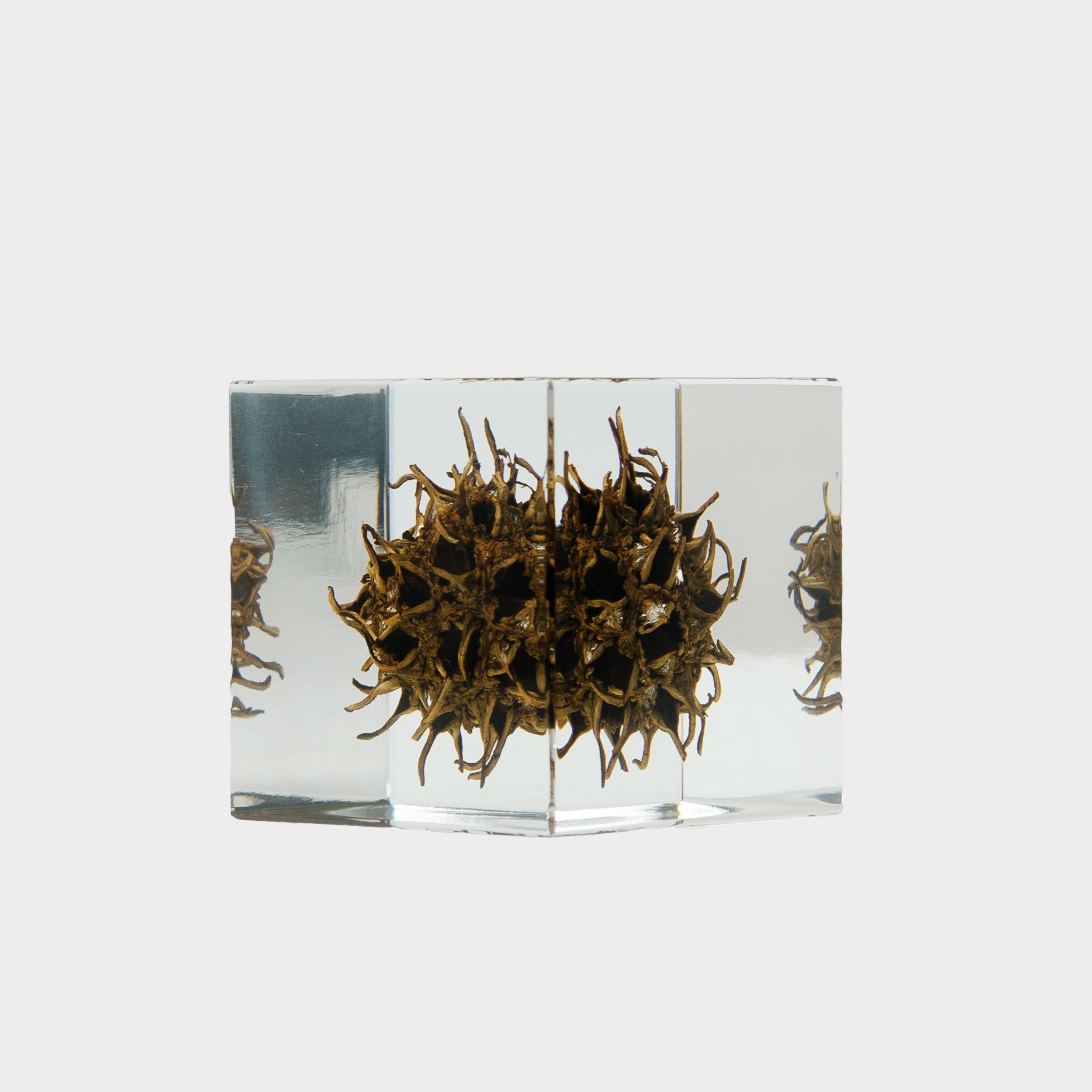 Japanese Botanical Paperweights – Gardenheir