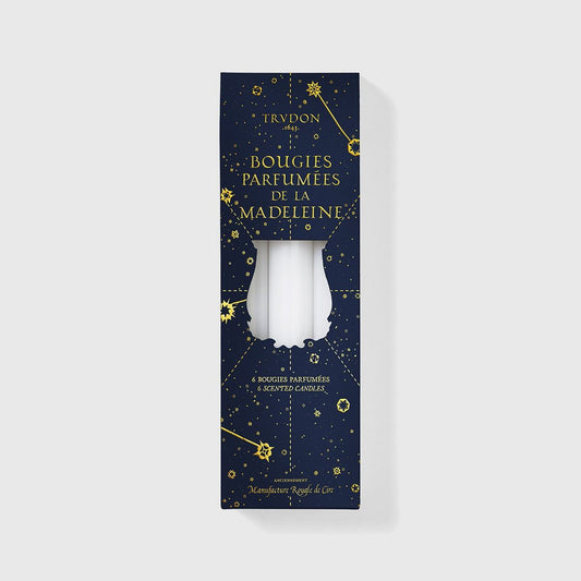 Set of 6 Trudon 8" Madeleine Fir Scented Taper Candles in Ivory