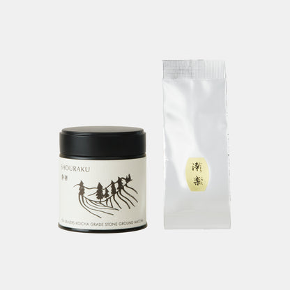 Matcha Shouraku – Premium Uji Matcha by Tea Dealers