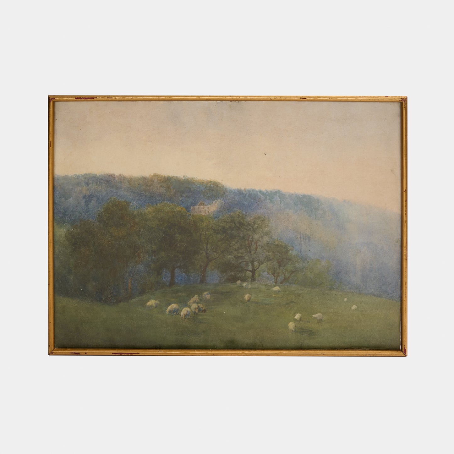 Antique Watercolor of Sheep in Yorkshire Meadow, England