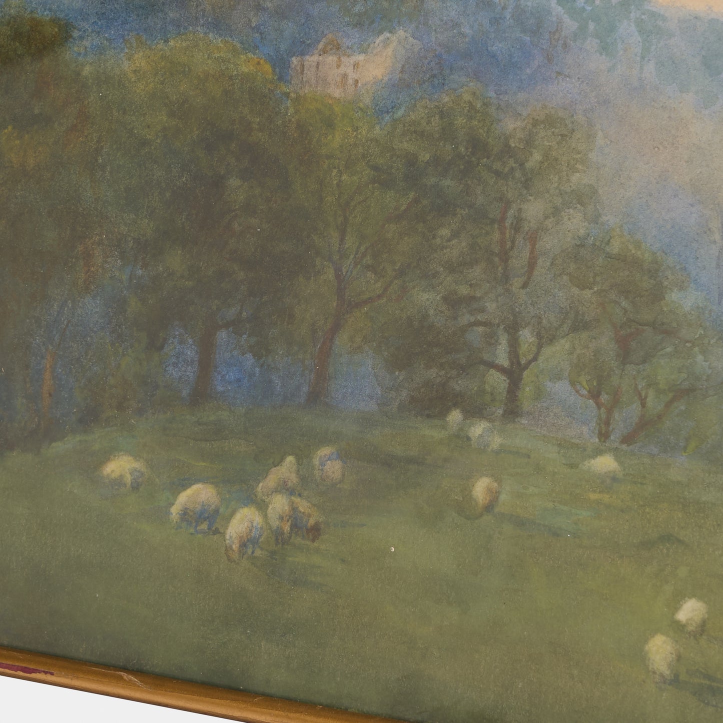 Antique Watercolor of Sheep in Yorkshire Meadow, England