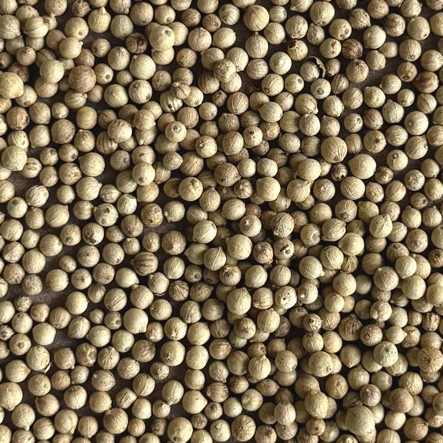 Pepper Trio Spice Set