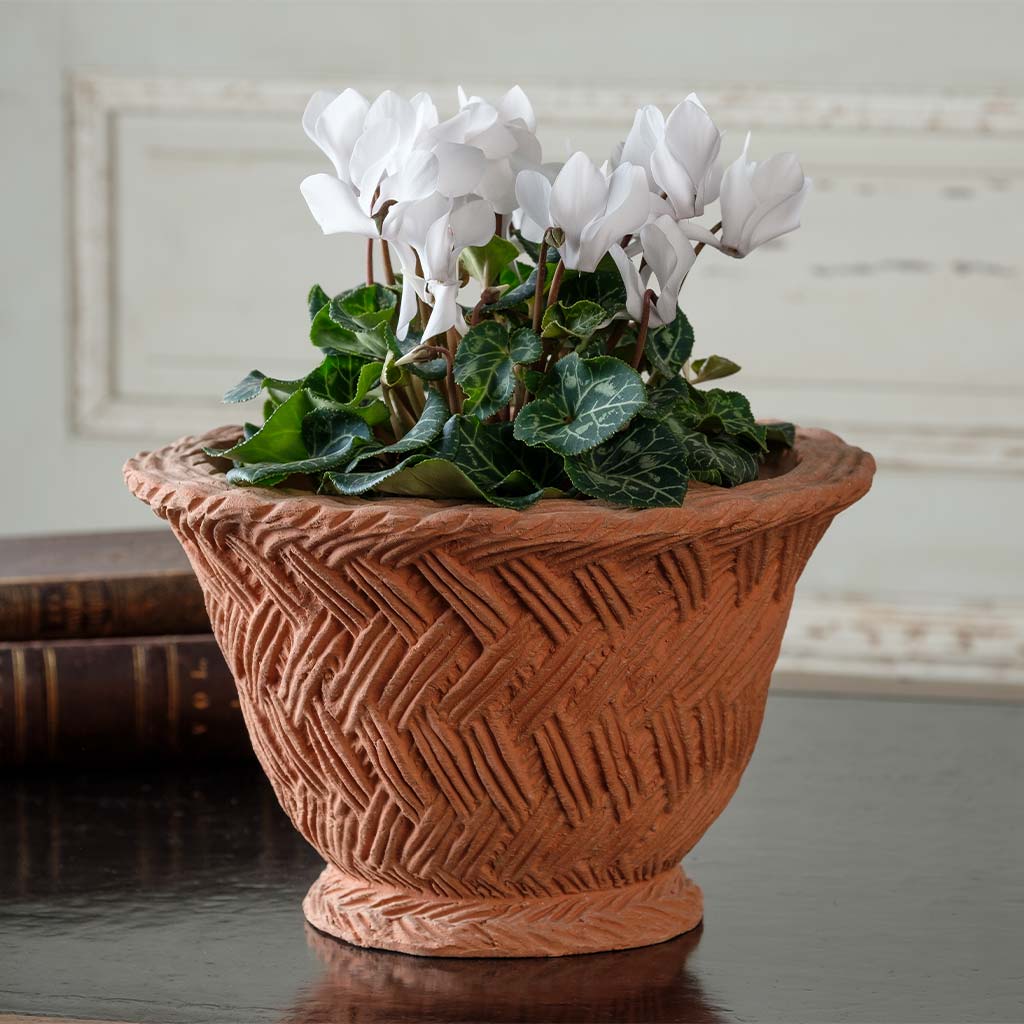 Italian Terracotta Wickerwork Planter