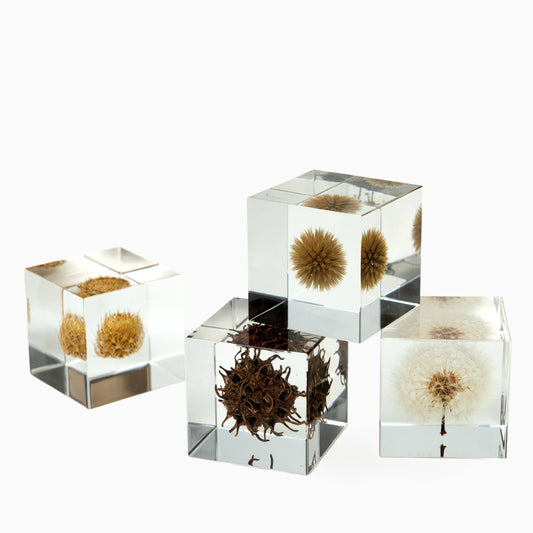 Japanese Botanical Paperweights