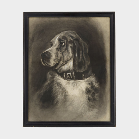 Vintage Charcoal Drawing of Dog, 1940s