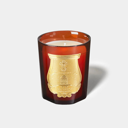 Trudon Cire Candle (Beeswax + Amber Woods)