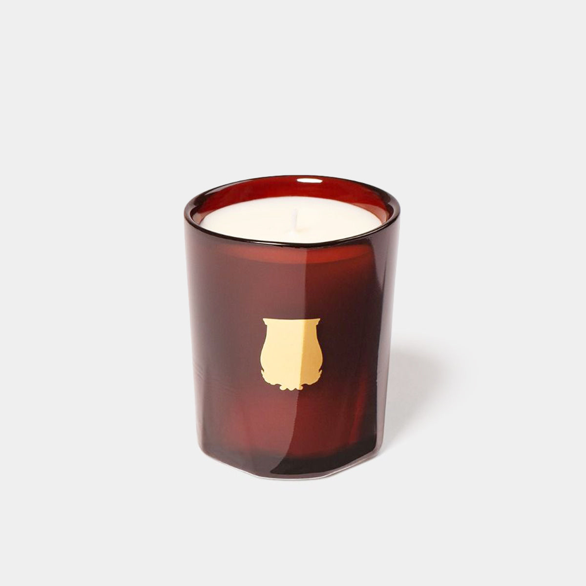 Trudon Cire Candle (Beeswax + Amber Woods)
