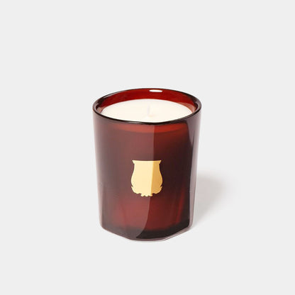 Trudon Cire Candle (Beeswax + Amber Woods)
