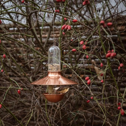 Weather Guard Bird Feeder