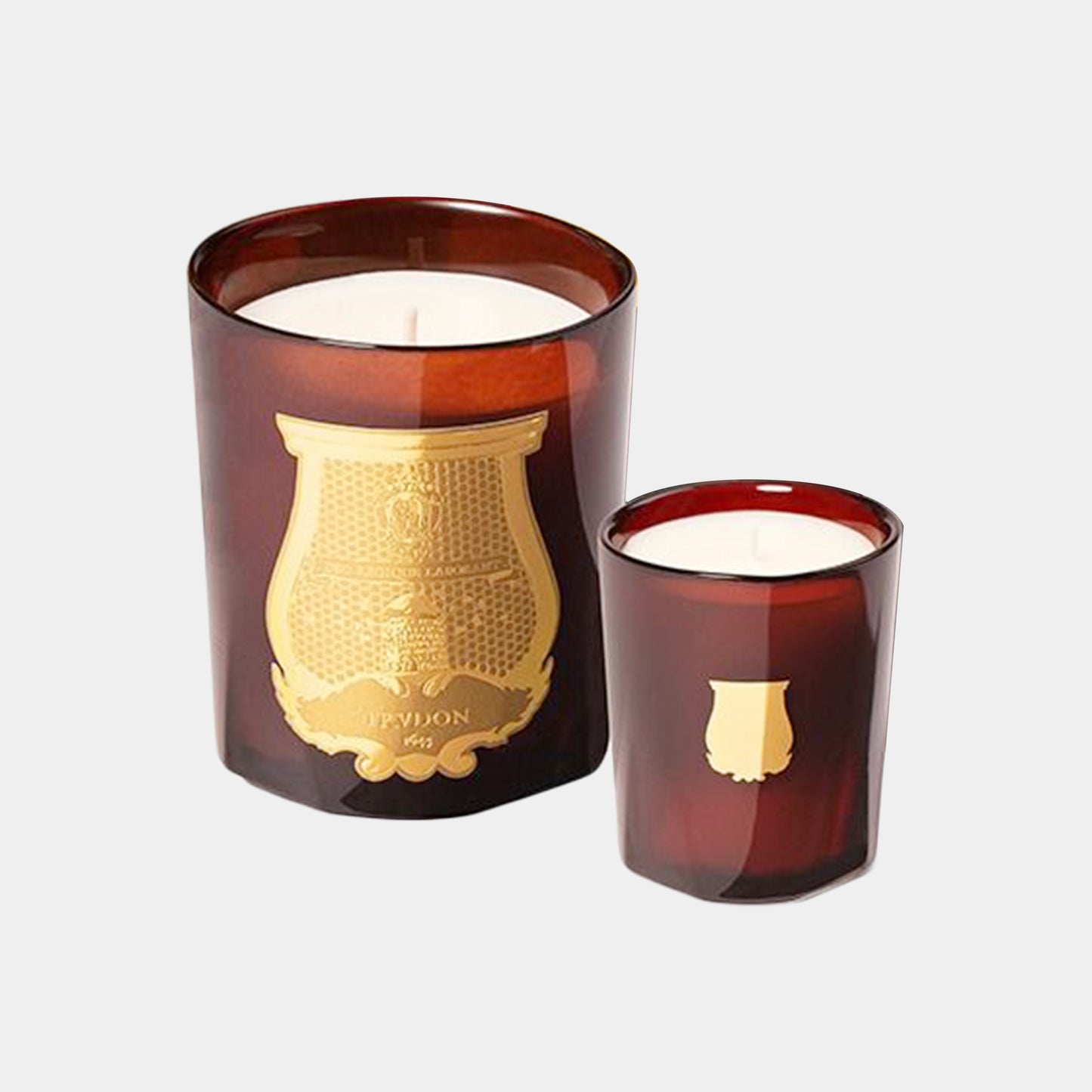 Trudon Cire Candle (Beeswax + Amber Woods)