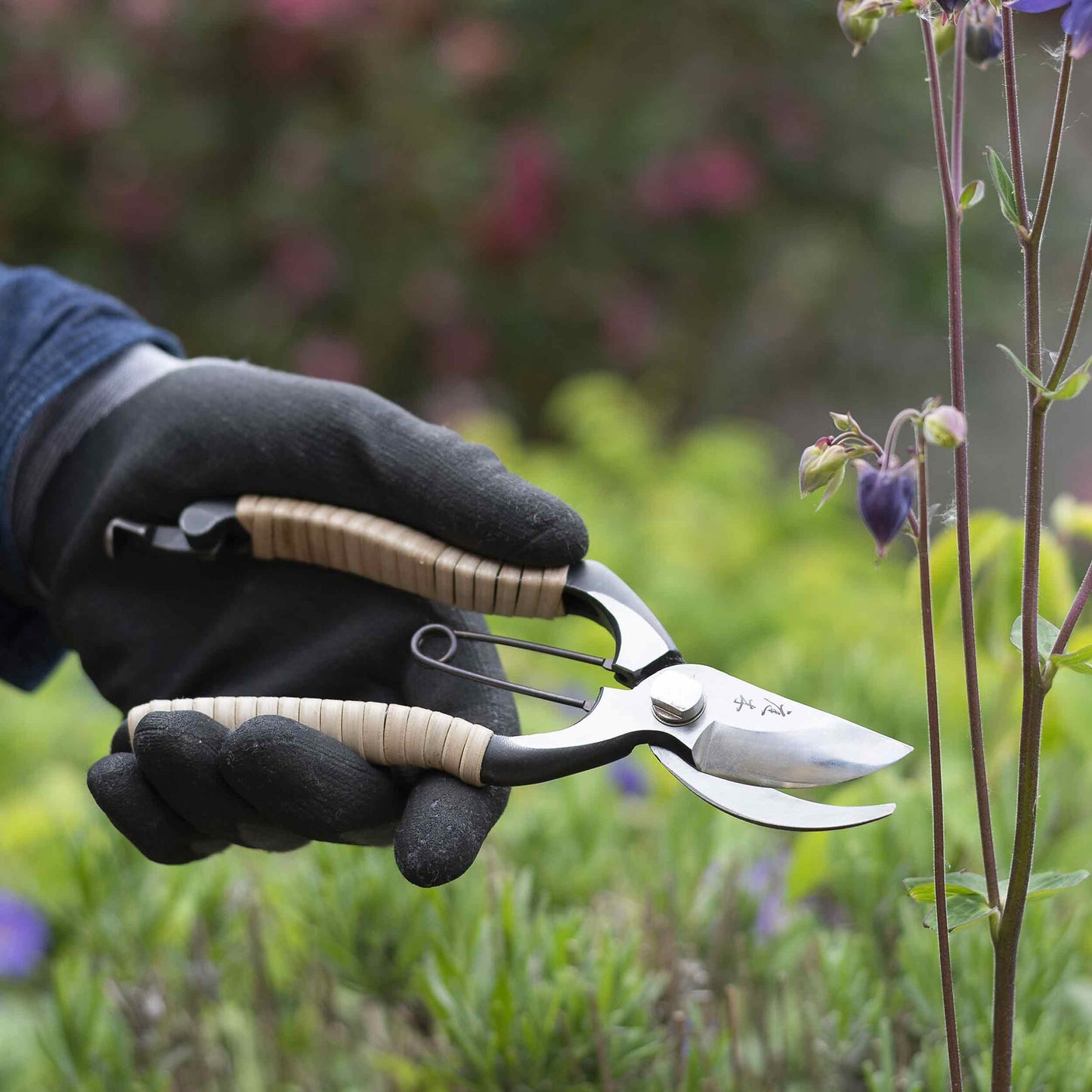 Niwaki Fujimaki Rattan Secateurs