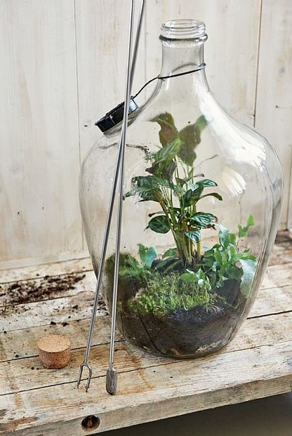 Sneeboer Terrarium Spade