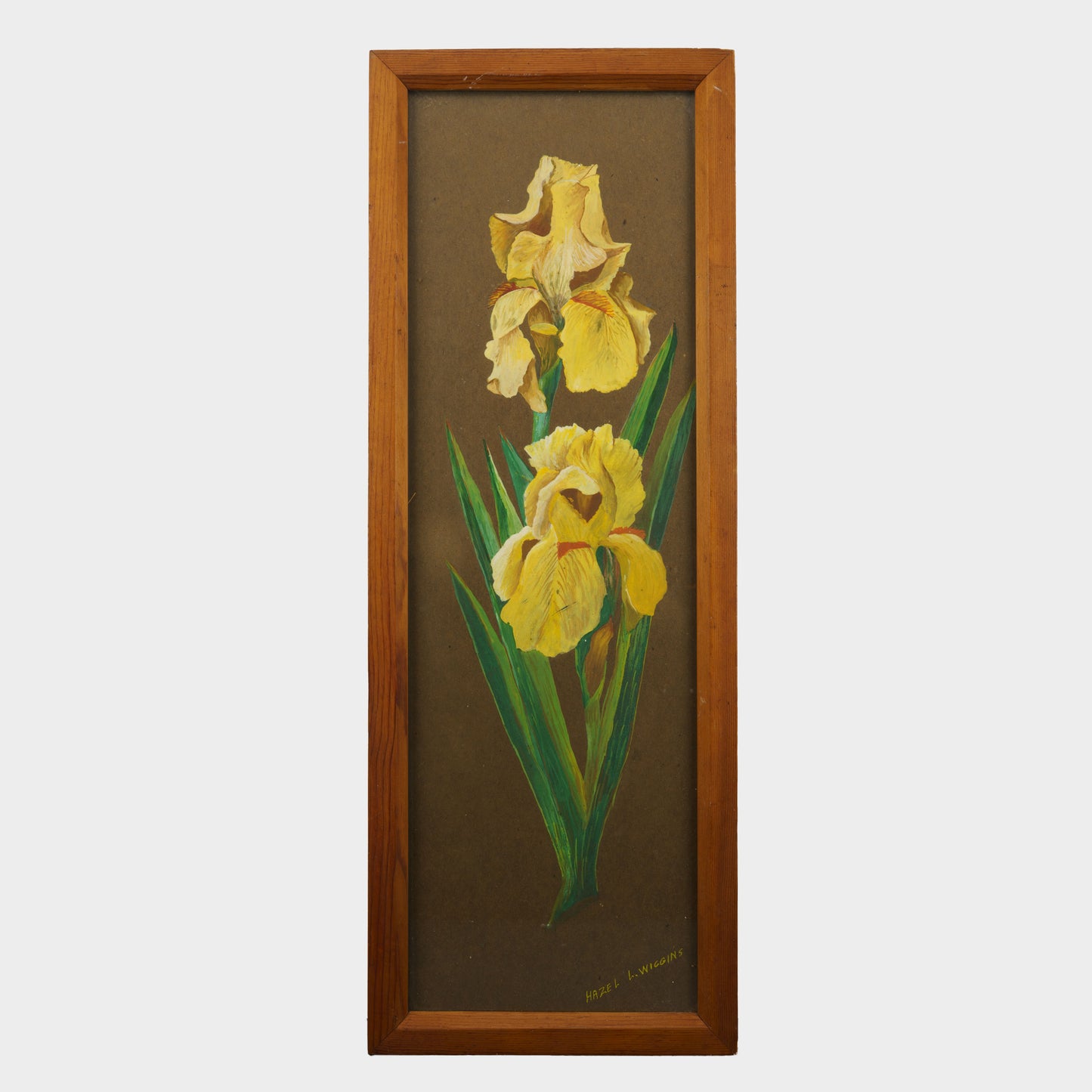 Vintage Painting of Irises