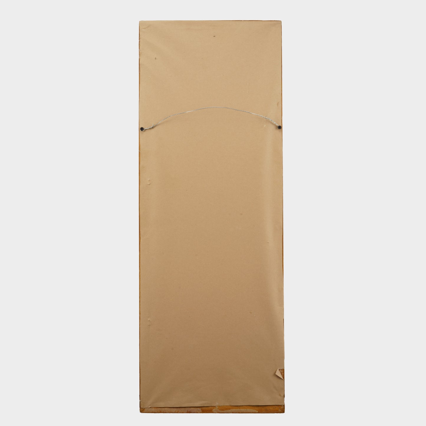 Vintage Painting of Irises