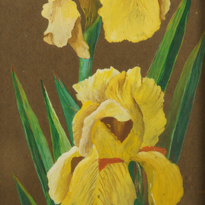 Vintage Painting of Irises