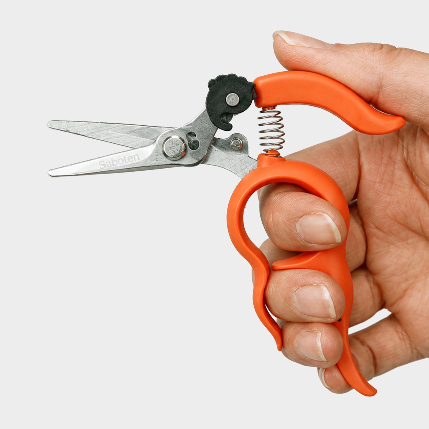 Japanese Multitasker Snips