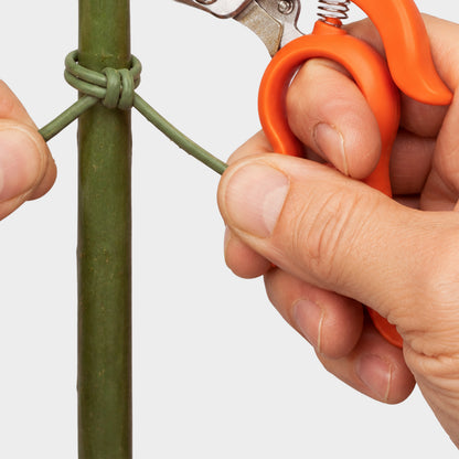 Japanese Multitasker Snips