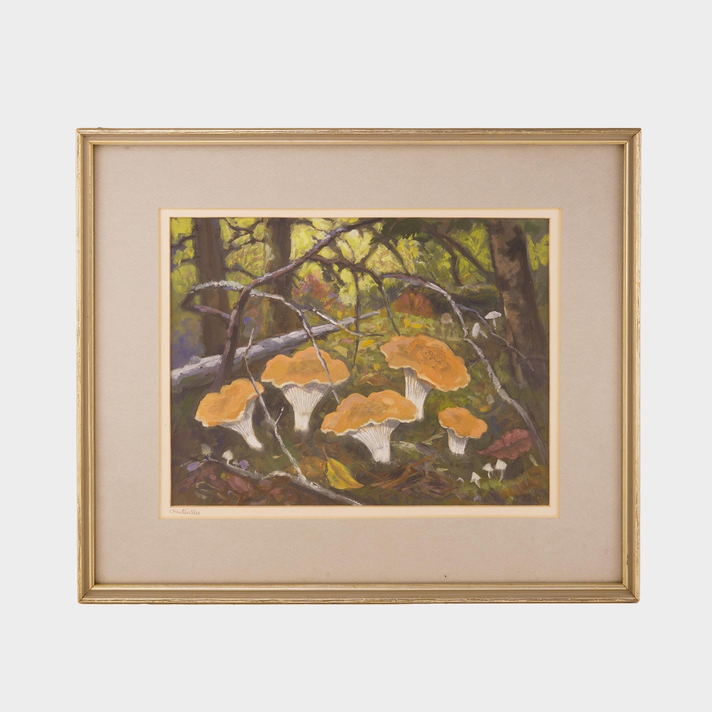 Vintage Painting of Chanterelle Mushrooms