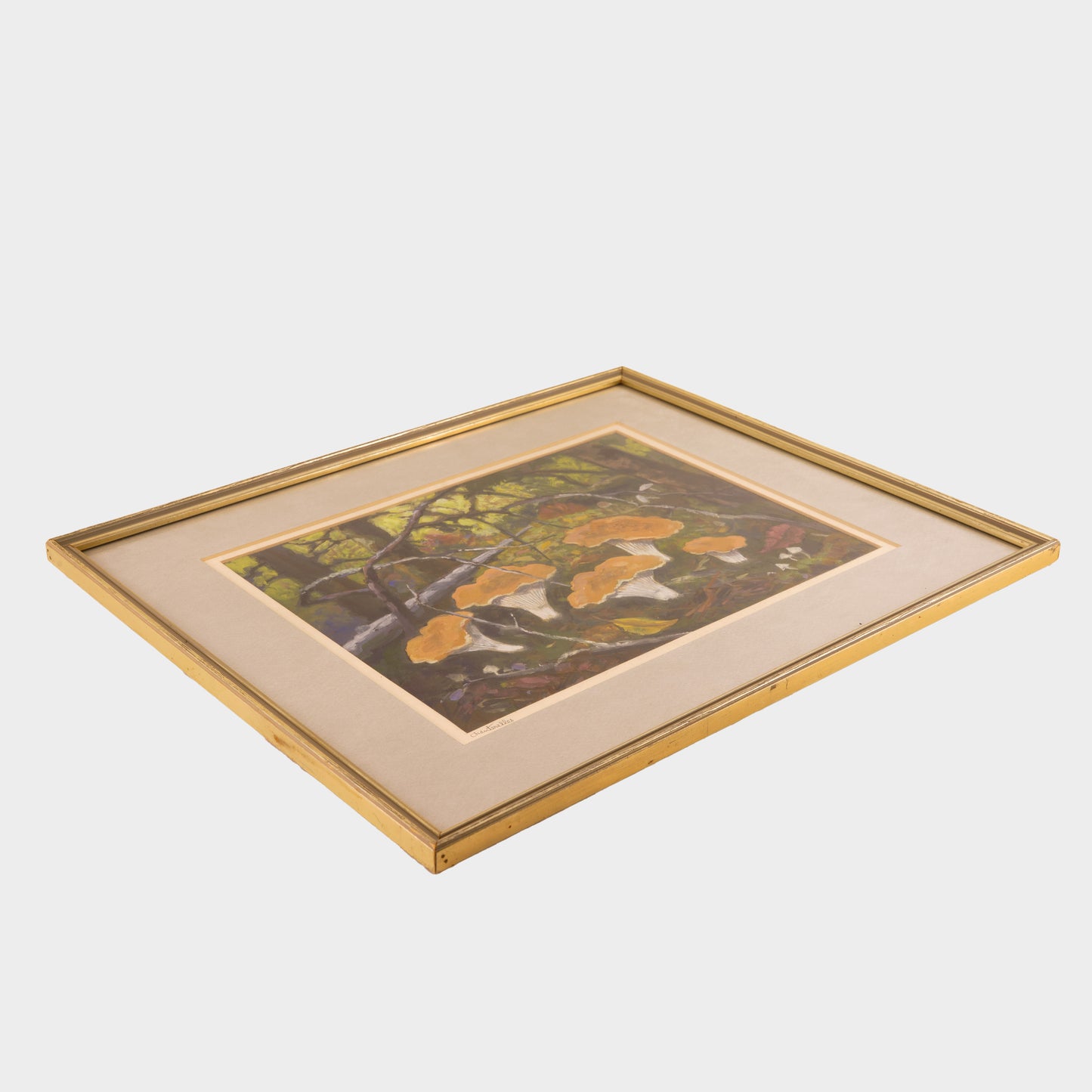 Vintage Painting of Chanterelle Mushrooms