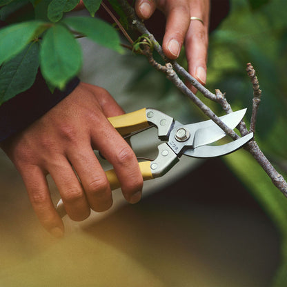 Niwaki Daikiba Secateurs with Canvas Sheath