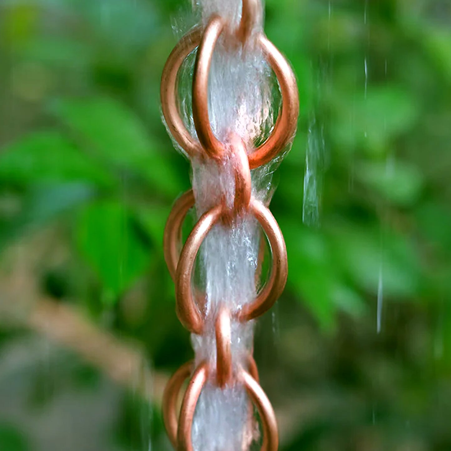 Copper Loop Rain Chain
