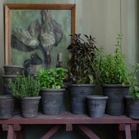 Gardenheir X Seibert & Rice Terra Cotta Bee Pot in Black