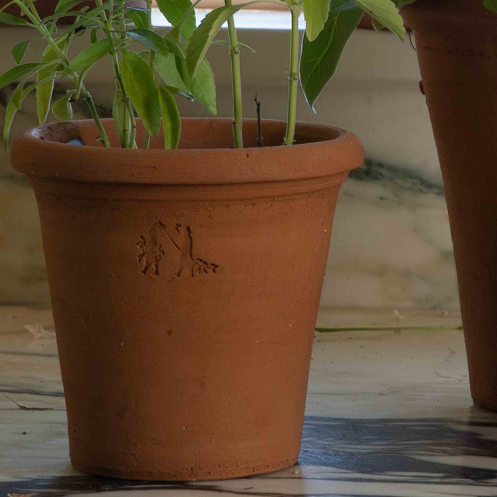 Gardenheir X Seibert & Rice Terra Cotta Logo Pot in Natural