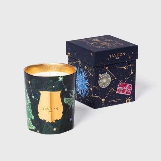 Trudon Fir Candle (Christmas Tree)