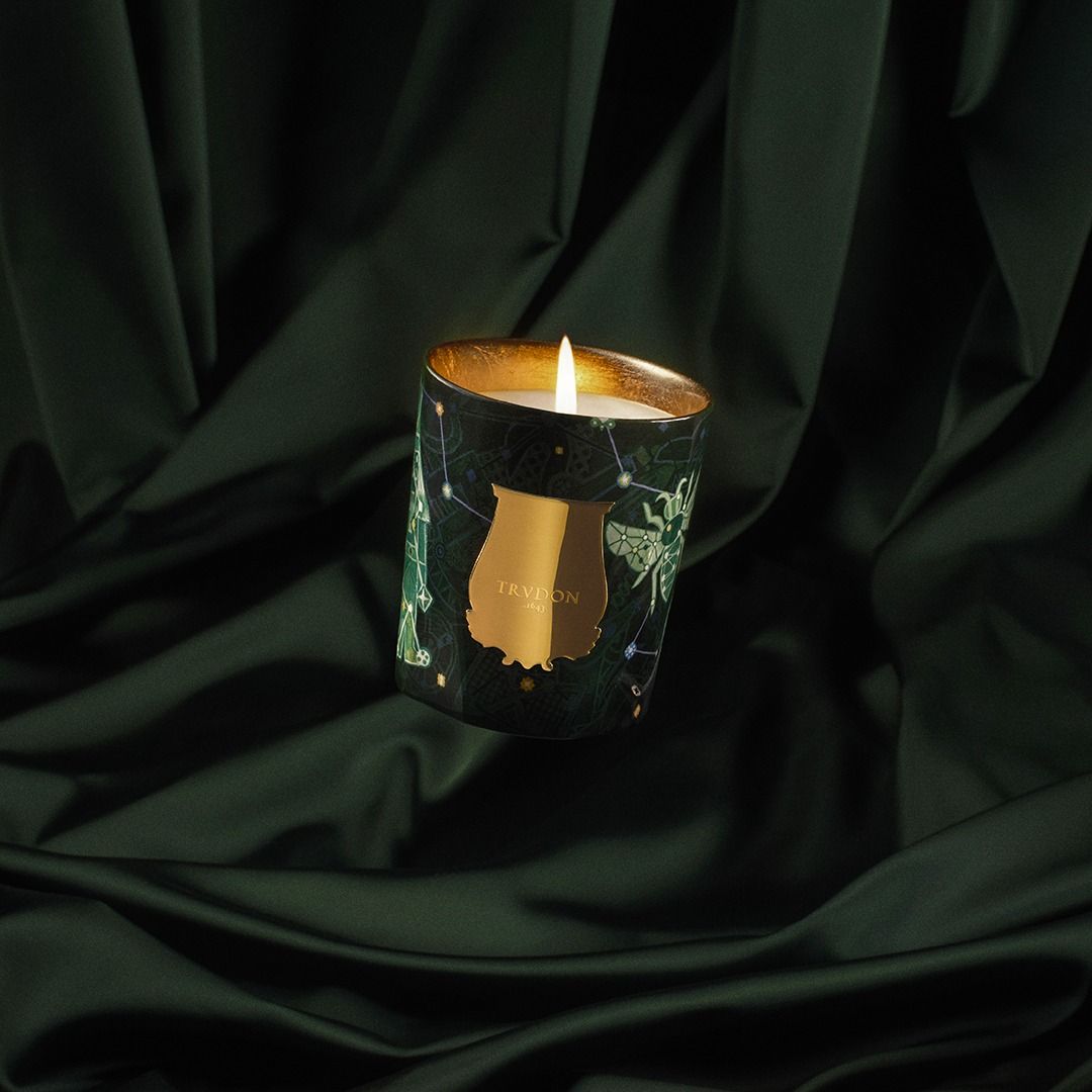 Trudon Fir Candle (Christmas Tree)