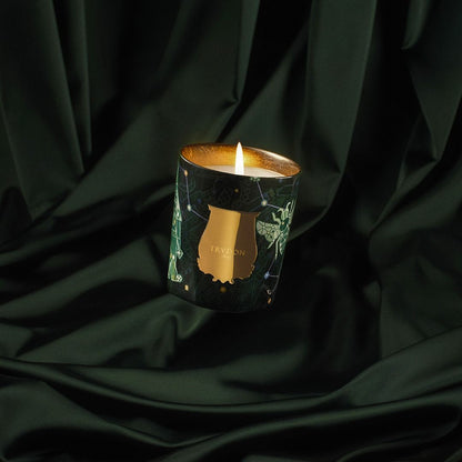 Trudon Fir Candle (Christmas Tree)