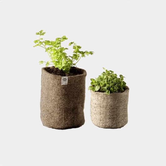 Biodegradable Wool Plant Pots (Set of 3)